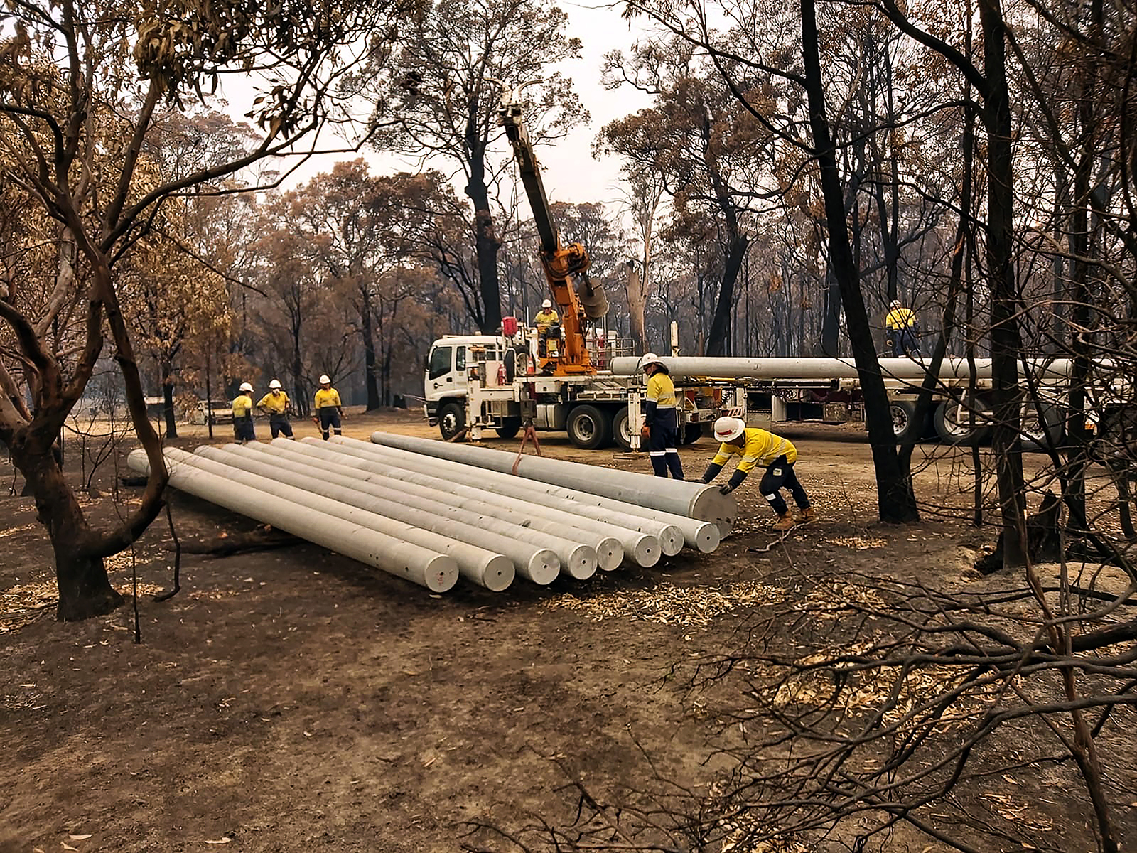 Workers outside near rows of pipes